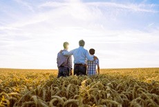 Le revenu des agriculteurs, critère Egalim peu investi des acheteurs publics