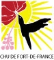 CHU de Fort-de-France : une direction achats new look