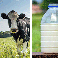L’économat des armées choisit un lait au juste prix pour les producteurs 