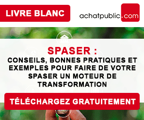 [Livre blanc] SPASER : Conseils, bonnes pratiques et exemples pour faire de votre SPASER un moteur de transformation