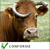 Les fiches de non-conformité, c’est simple comme AchatLim