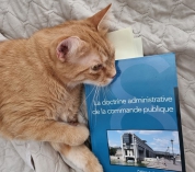 [Interview] Dimitri Di Francesco : «La DAJ est autonome dans l'interprétation qu'elle donne des textes Commande publique»