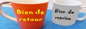 Un candidat à une DSP ne peut anticiper la nature d’un bien de retour