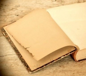 Quand la commande publique se livre : les lectures estivales d’achatpublic.info