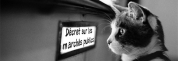 Projet de décret : l'AAP en mode "wait and see"