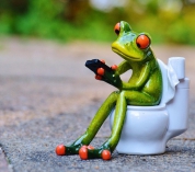 Achat innovant : quand la pause pipi devient un acte écologique