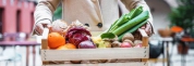 [Tribune] " Restauration collective : et si on sortait les achats alimentaires bio et durables du code de la commande publique ?"