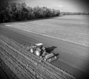 Le revenu des agriculteurs, critère Egalim peu investi des acheteurs publics