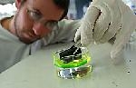 Achats scientifiques : le CNRS libéré du Code