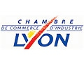 La CCI de Lyon vote une motion en faveur des PME sous-traitantes