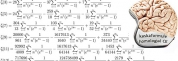 Méthode de notation et OAB, sauce Conseil d’Etat