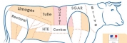 Naissance du réseau des acheteurs du Limousin
