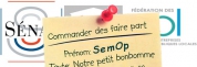 La SEMOP, outil de contrôle renforcé de l’externalisation ?